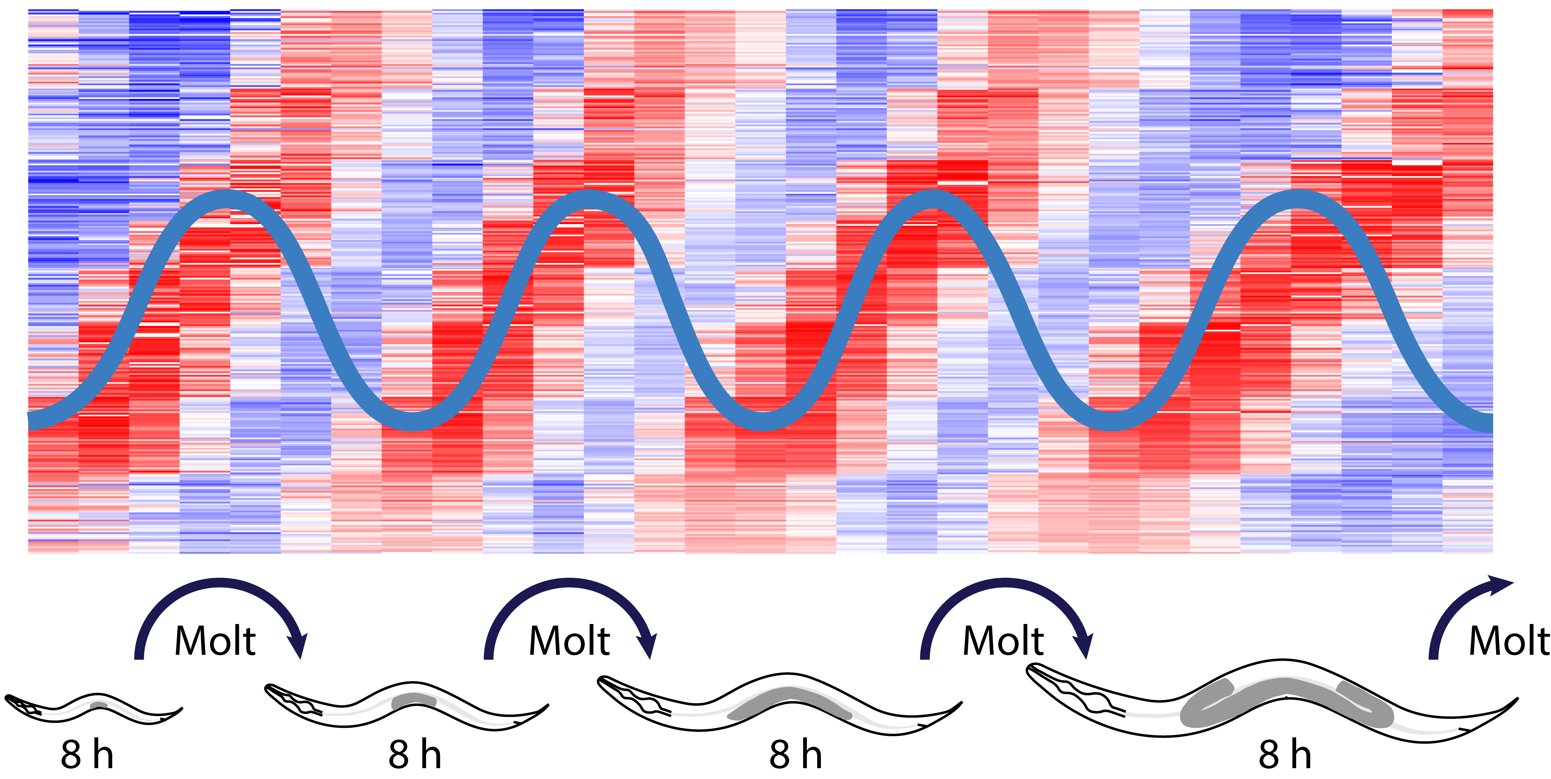 oscillations_for website_hard_crop